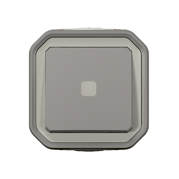 Interrupteur temporisé lumineux Plexo IP55 IK07 - Gris - Ref. 069504L